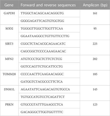 Toolkit for cellular studies of mammalian mitochondrial inorganic polyphosphate